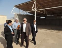 پروژه احداث تاسیسات زیربنایی و برقی شهرک گاومیش داری سلمان فارسی اهواز